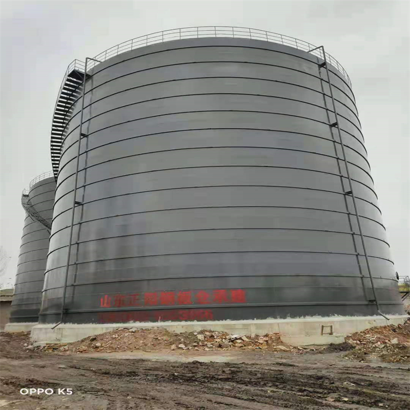 梅里斯达斡尔族3万吨大型钢板库