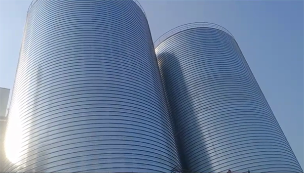 梅里斯达斡尔族2座混凝土高架卷板仓